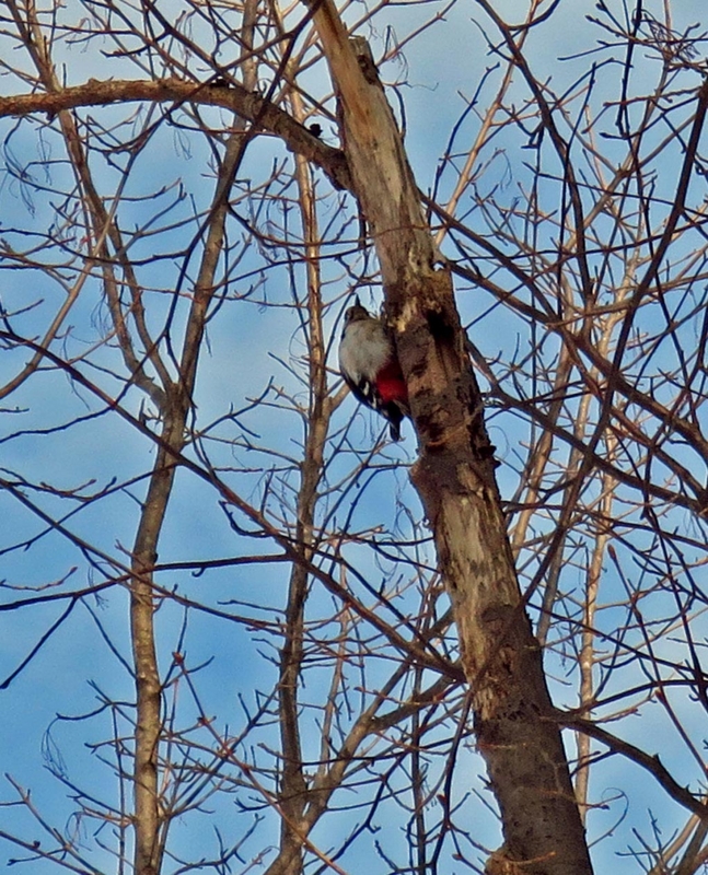 f:id:atarou:20140321063440j:image f:id:atarou:20140321063440j:image