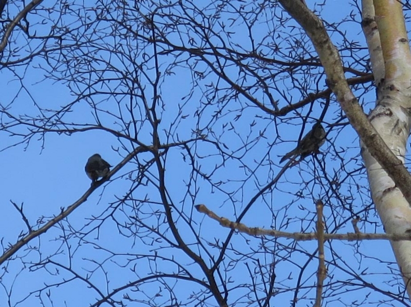 f:id:atarou:20140321071143j:image f:id:atarou:20140321071143j:image