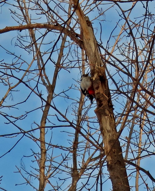 f:id:atarou:20140321071649j:image f:id:atarou:20140321071649j:image