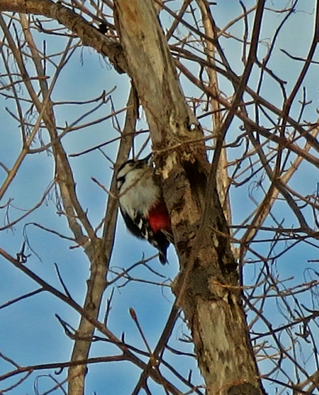 f:id:atarou:20140321071652j:image f:id:atarou:20140321071652j:image