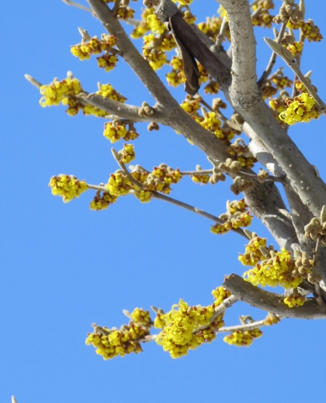 f:id:atarou:20140324065028j:image