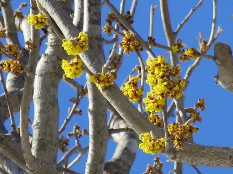 f:id:atarou:20140324072226j:image