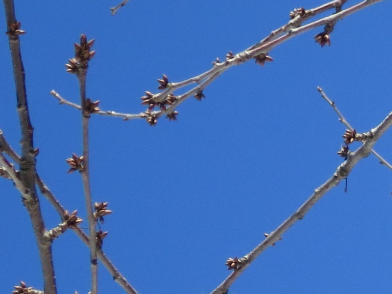 f:id:atarou:20140324085127j:image