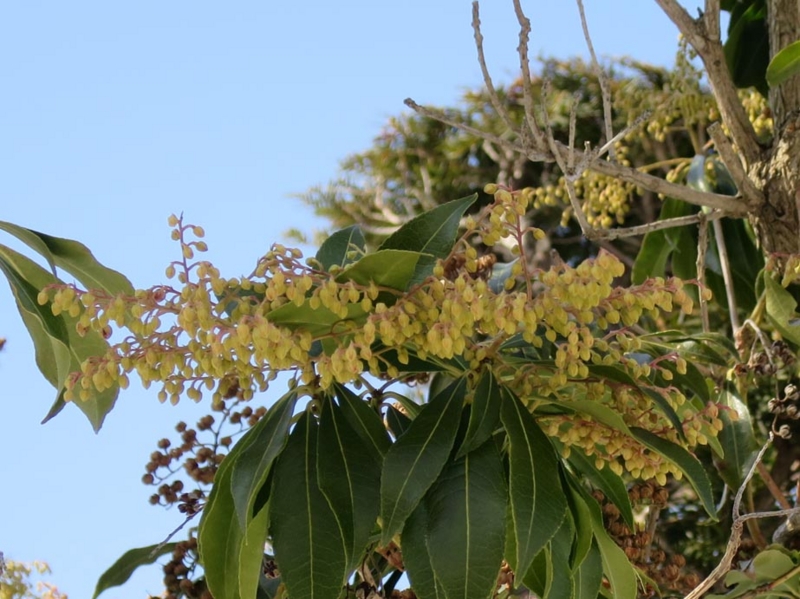 f:id:atarou:20140325071126j:image
