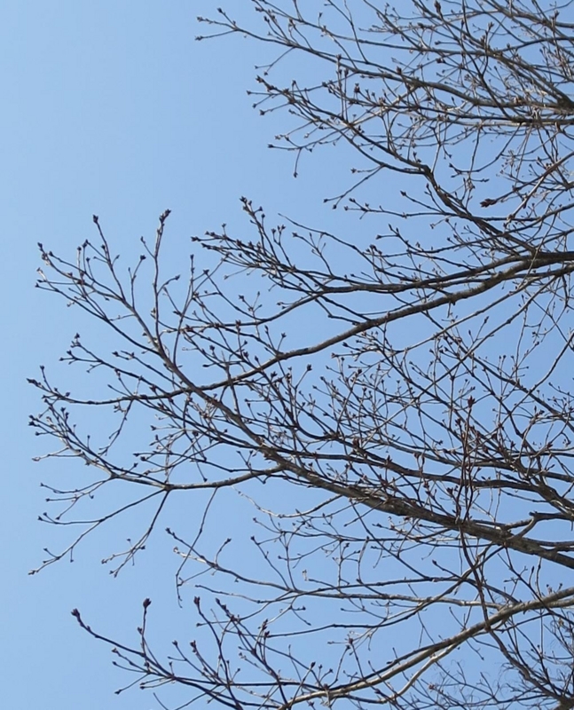 f:id:atarou:20140327083638j:image