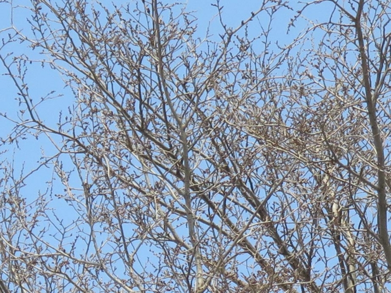 f:id:atarou:20140327084704j:image
