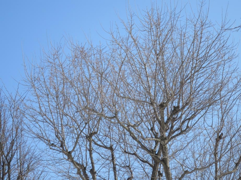 f:id:atarou:20140328104605j:image