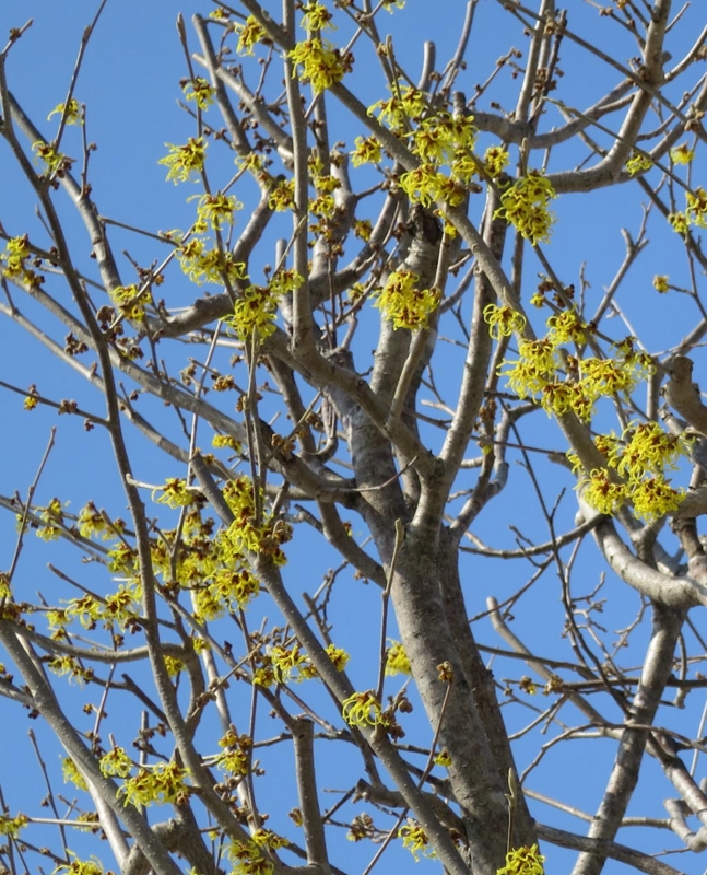 f:id:atarou:20140328104717j:image