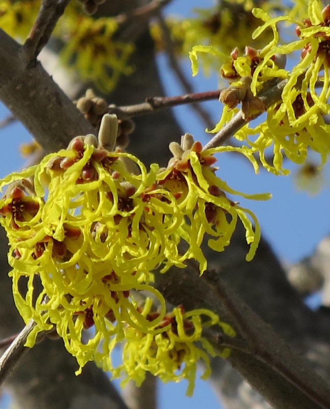 f:id:atarou:20140328105220j:image