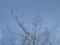 20140406090551