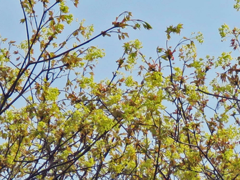 f:id:atarou:20140509071122j:image