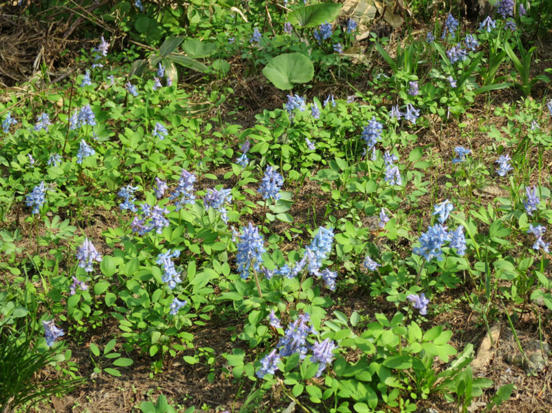 f:id:atarou:20140509071124j:image