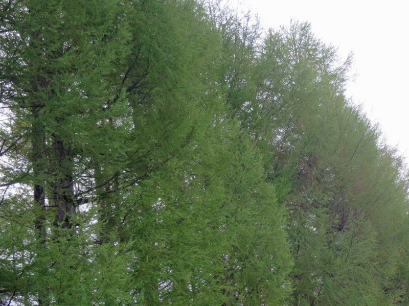 f:id:atarou:20140509072647j:image