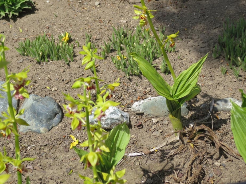 f:id:atarou:20140526085905j:image