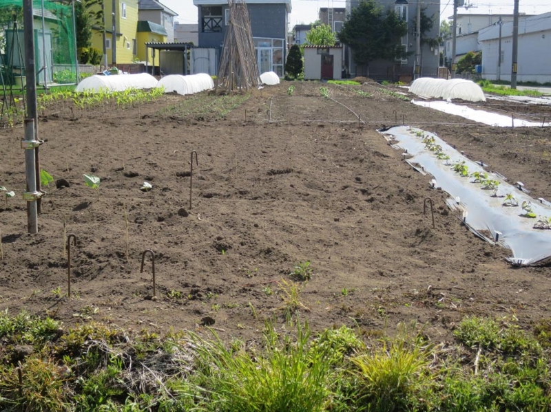 f:id:atarou:20140526091155j:image