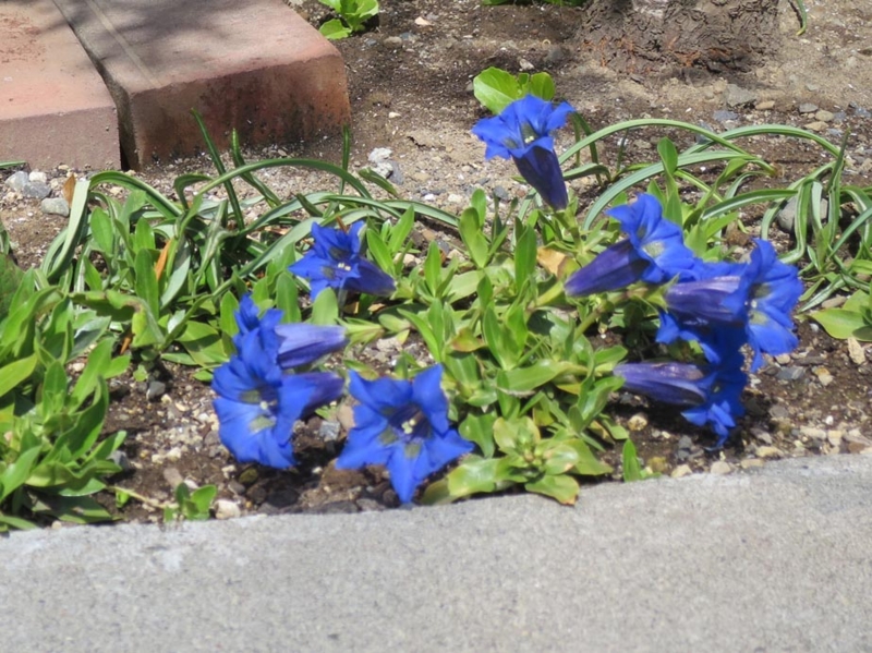f:id:atarou:20140527175923j:image