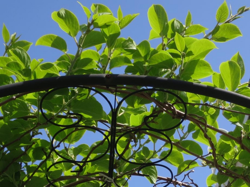f:id:atarou:20140527180354j:image