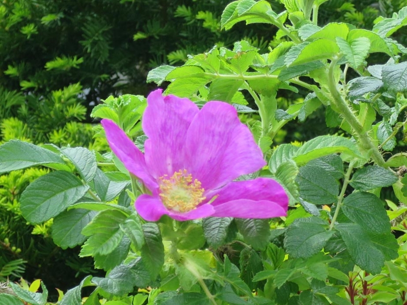 f:id:atarou:20140530170459j:image