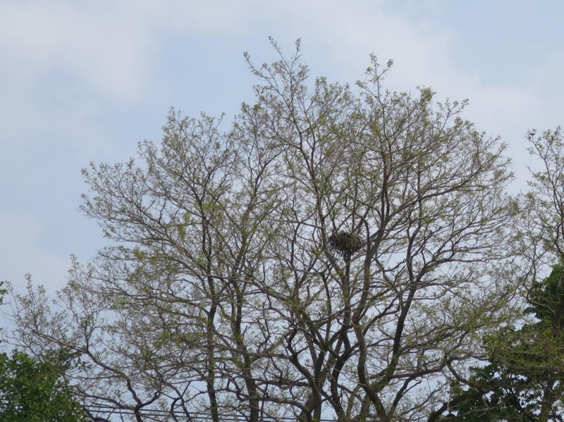 f:id:atarou:20140531062901j:image