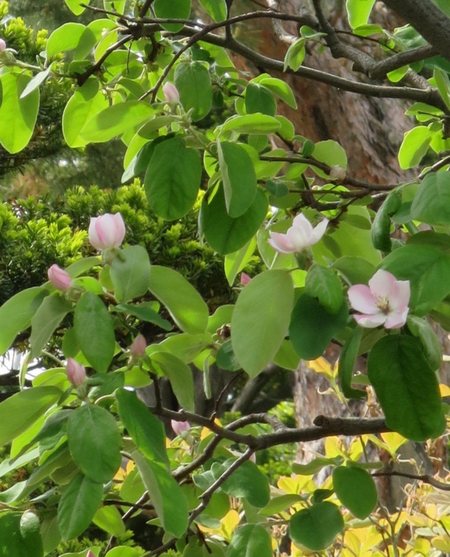 f:id:atarou:20140601055011j:image