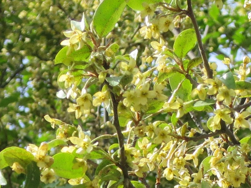f:id:atarou:20140601055014j:image
