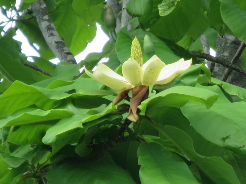 f:id:atarou:20140601055510j:image