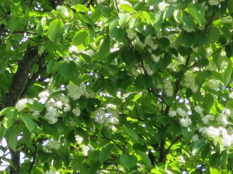 f:id:atarou:20140601060754j:image