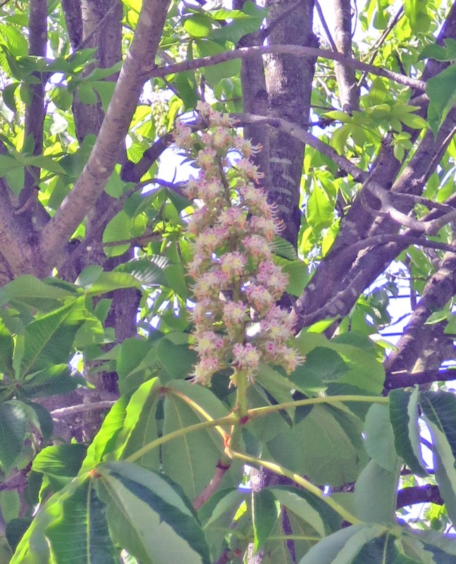 f:id:atarou:20140602053948j:image f:id:atarou:20140602053948j:image
