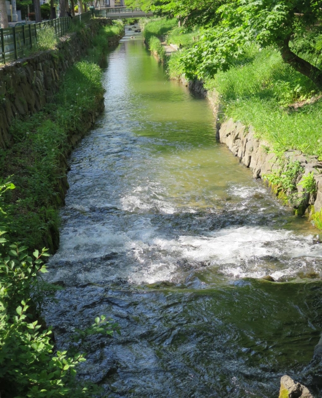f:id:atarou:20140603062503j:image f:id:atarou:20140603062503j:image