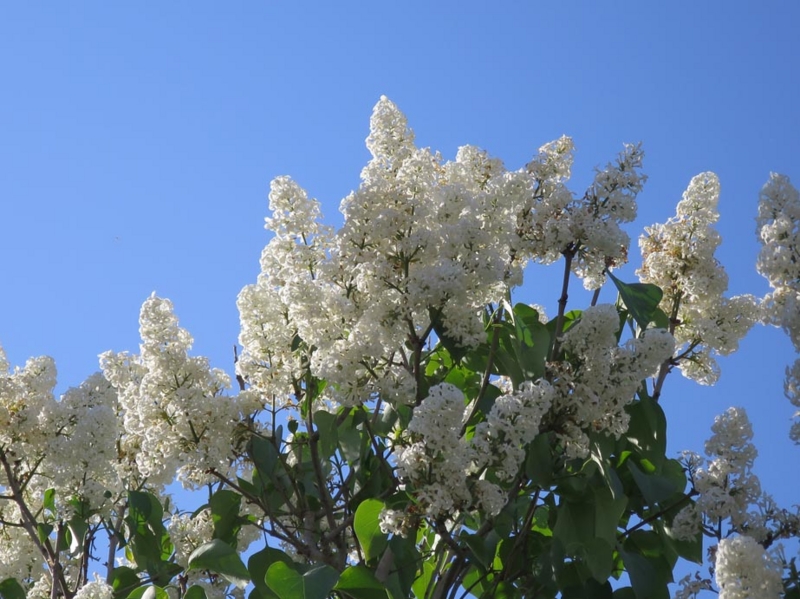 f:id:atarou:20140603180400j:image