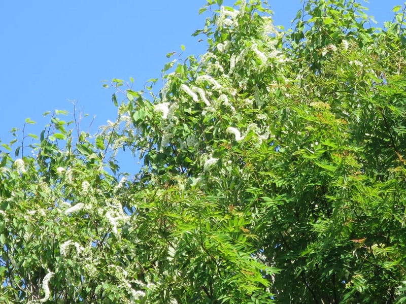 f:id:atarou:20140604060650j:image