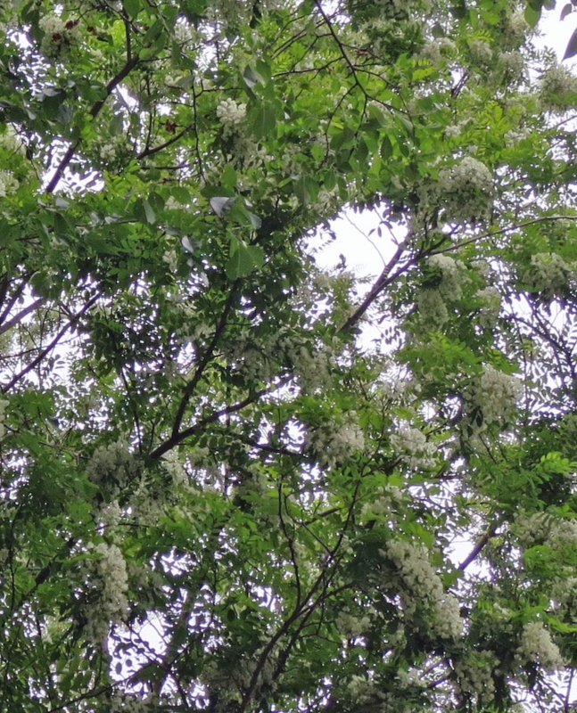 f:id:atarou:20140607052532j:image