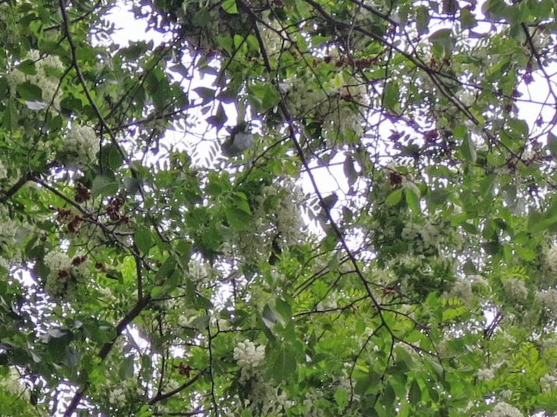 f:id:atarou:20140607055549j:image