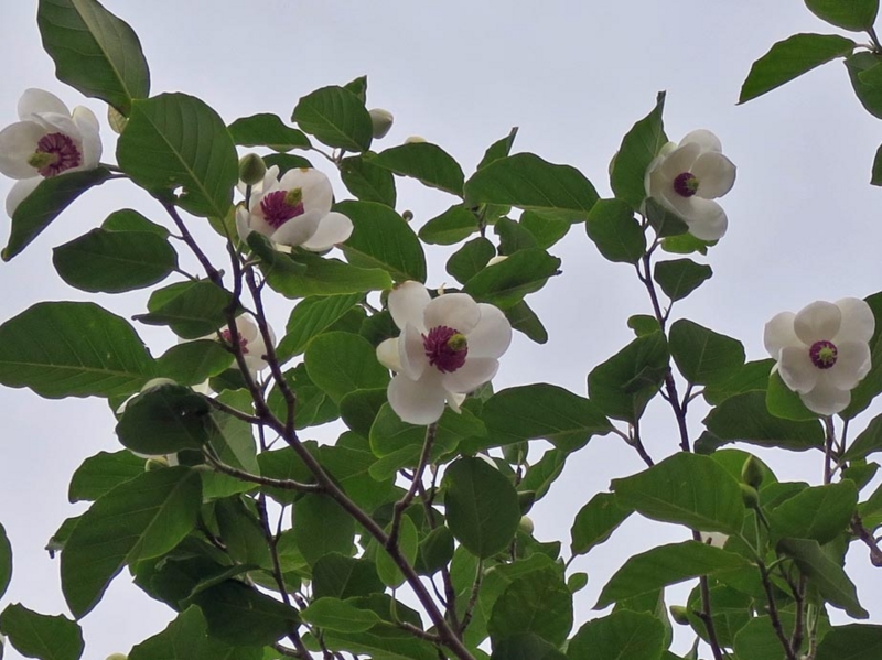 f:id:atarou:20140608064646j:image