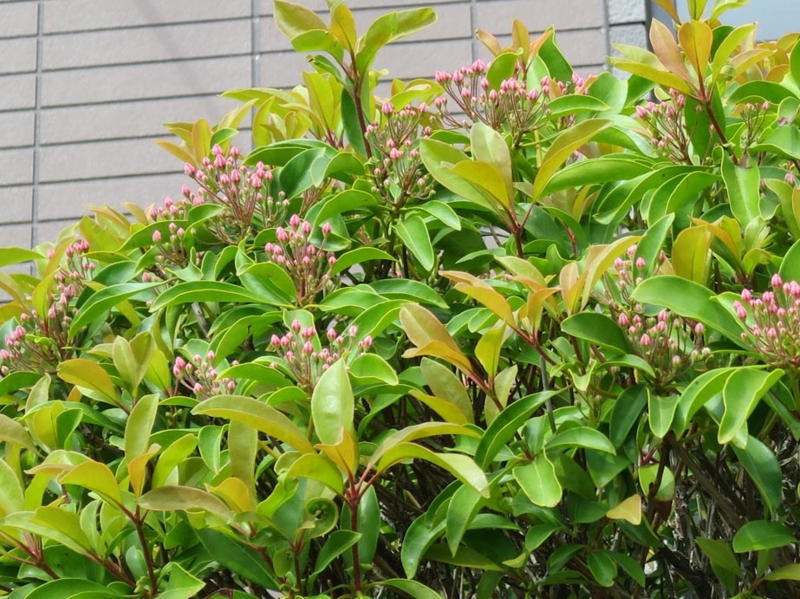 f:id:atarou:20140608065647j:image