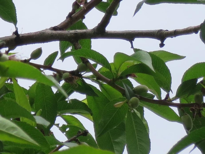f:id:atarou:20140608174625j:image