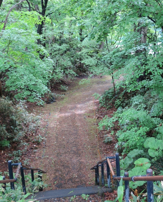 f:id:atarou:20140608180101j:image
