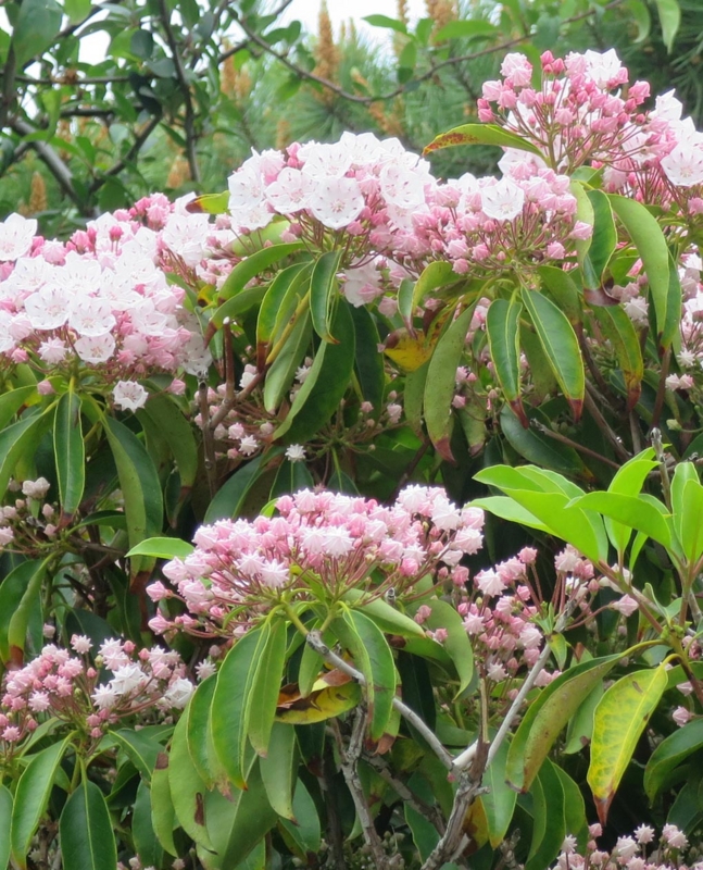 f:id:atarou:20140611051308j:image
