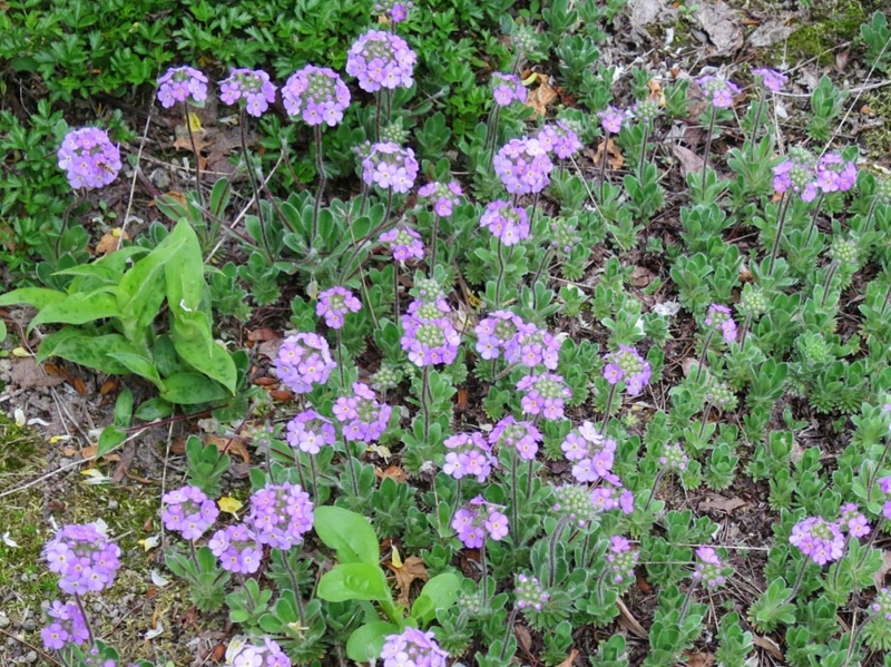 f:id:atarou:20140611052257j:image