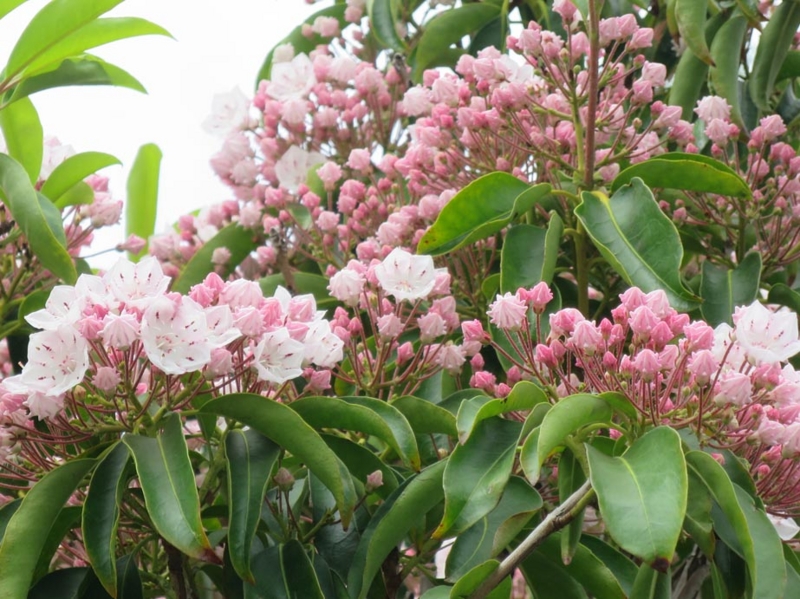 f:id:atarou:20140611054759j:image