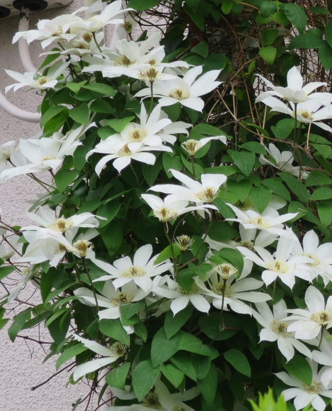 f:id:atarou:20140613055802j:image