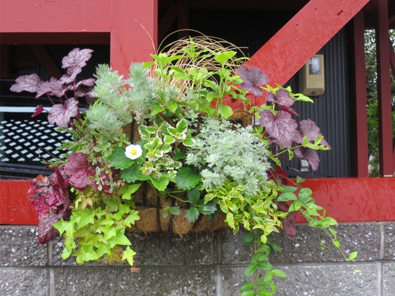 f:id:atarou:20140613055809j:image
