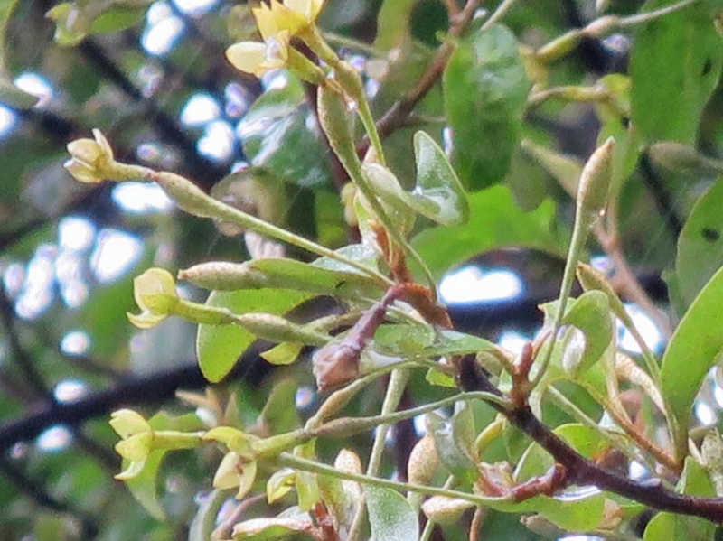 f:id:atarou:20140613060312j:image