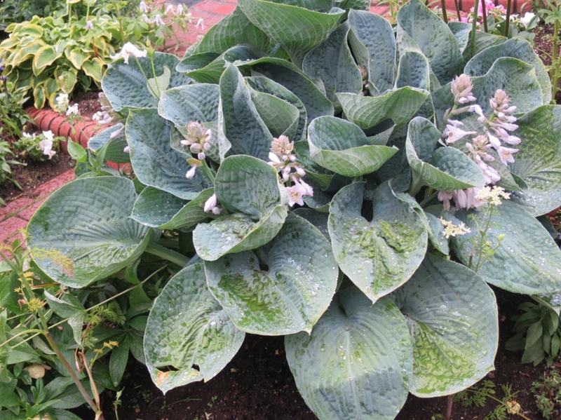 f:id:atarou:20140614070919j:image