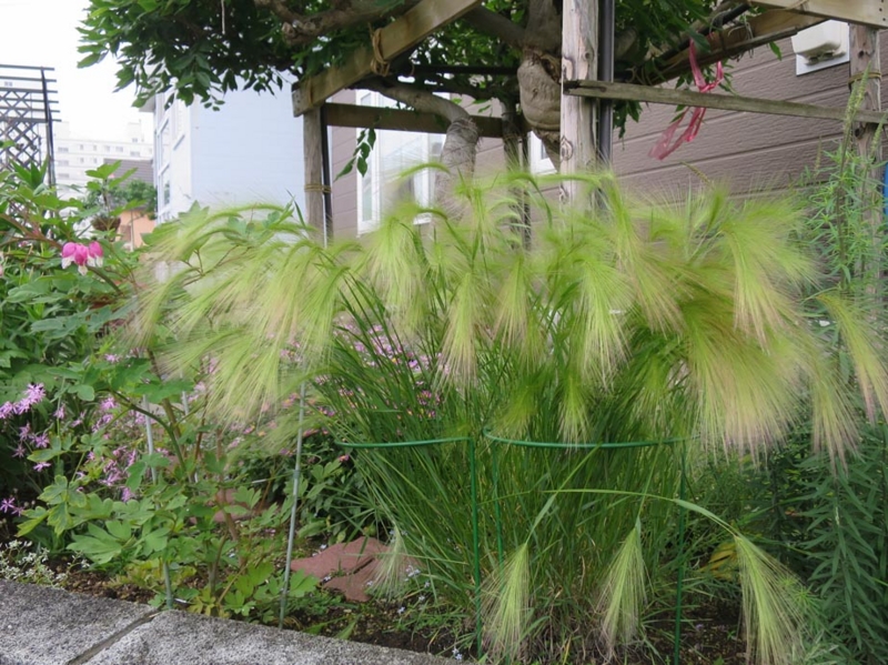 f:id:atarou:20140619070249j:image