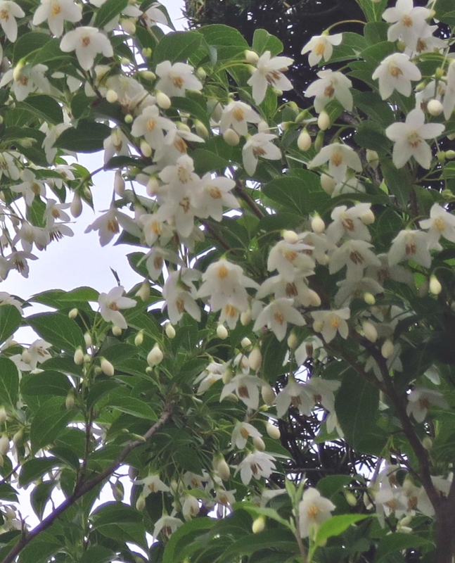 f:id:atarou:20140620054801j:image
