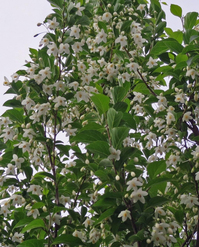 f:id:atarou:20140620062833j:image