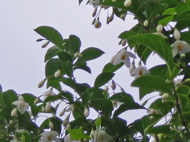 f:id:atarou:20140620063211j:image
