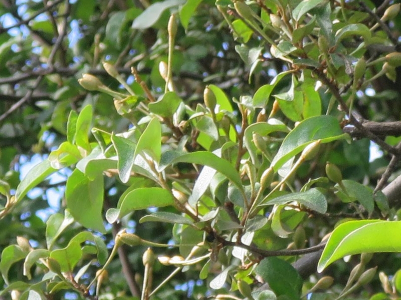 f:id:atarou:20140622082650j:image