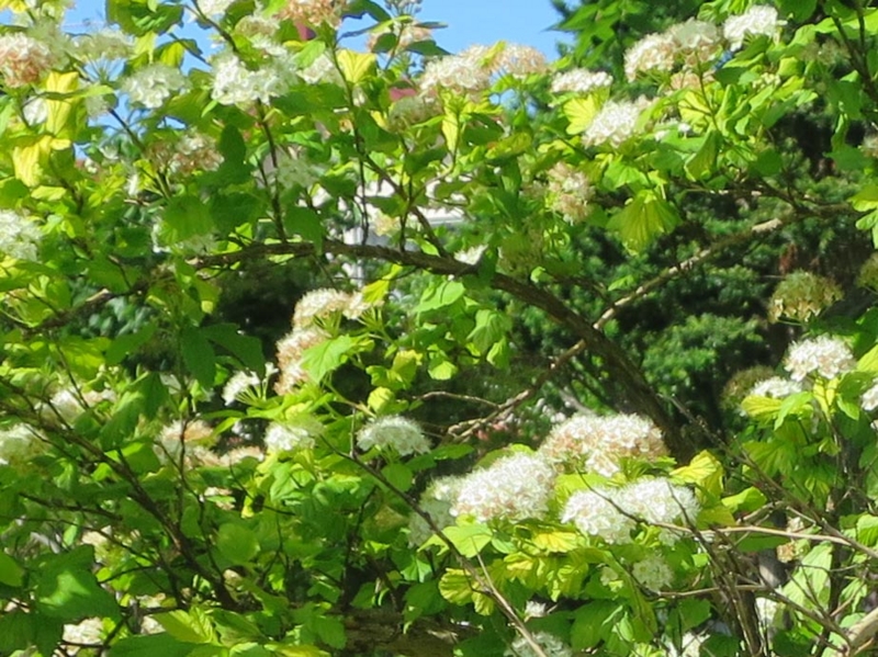 f:id:atarou:20140622083405j:image